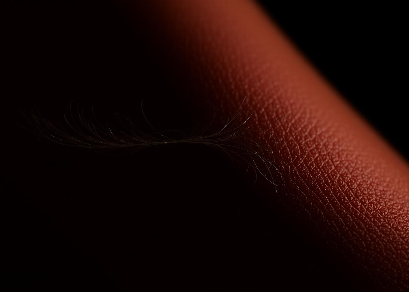 Macro study of human skin texture and a fine hair strand in bronze light